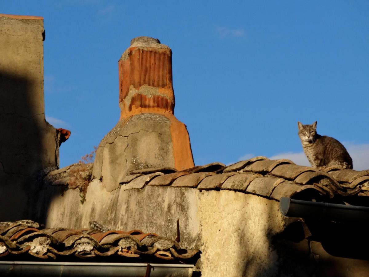 Villa La Marisol LʼIsle-sur-la-Sorgue Esterno foto